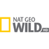 Nat Geo Wild HD Nat Geo Wild HD